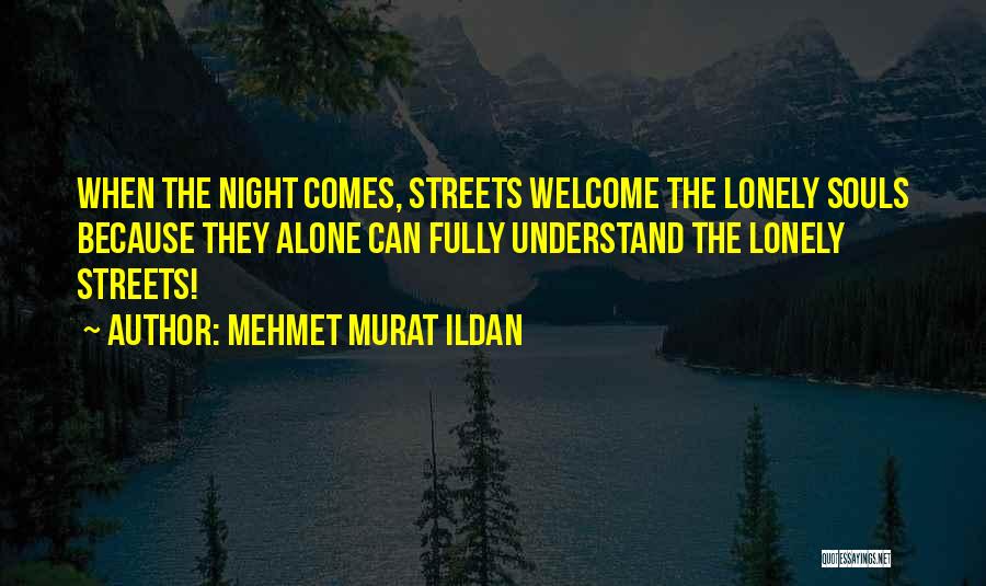 Lonely Streets Quotes By Mehmet Murat Ildan
