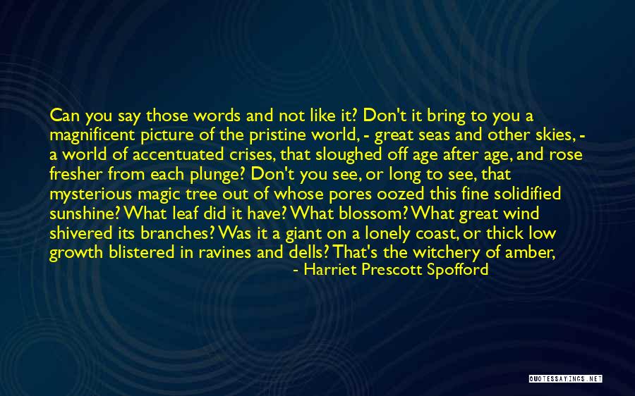 Lonely Tree Quotes By Harriet Prescott Spofford Lonely Tree Quotes By Harriet Prescott Spofford