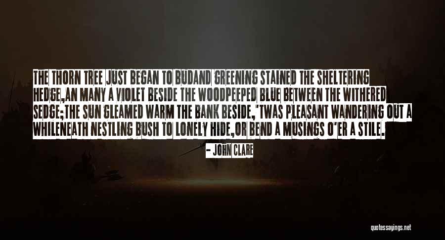 Lonely Tree Quotes By John Clare Lonely Tree Quotes By John Clare