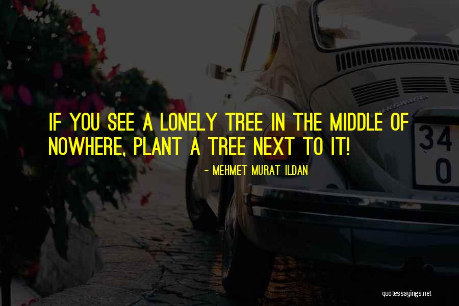 Lonely Tree Quotes By Mehmet Murat Ildan Lonely Tree Quotes By Mehmet Murat Ildan