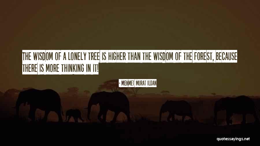 Lonely Tree Quotes By Mehmet Murat Ildan Lonely Tree Quotes By Mehmet Murat Ildan