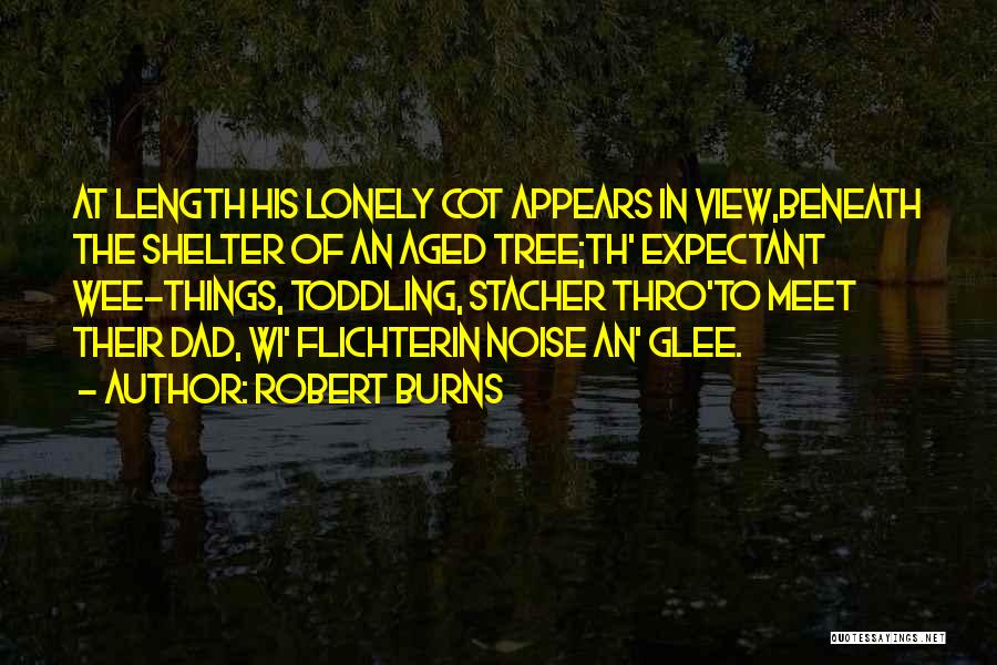 Lonely Tree Quotes By Robert Burns