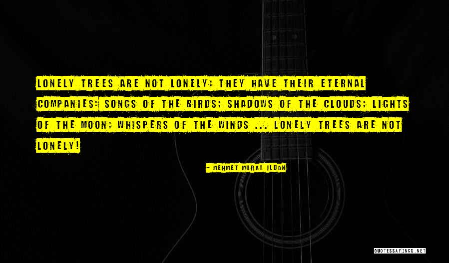 Lonely Trees Quotes By Mehmet Murat Ildan Lonely Trees Quotes By Mehmet Murat Ildan