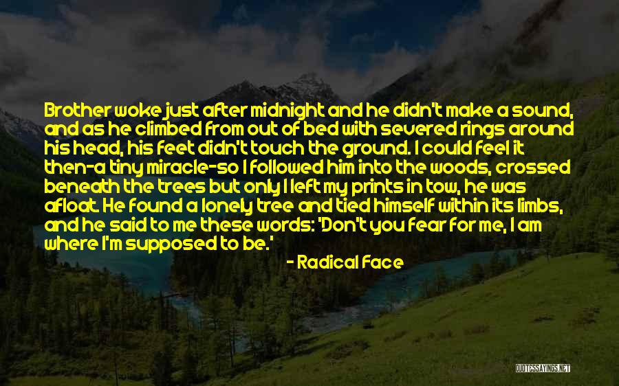 Lonely Trees Quotes By Radical Face Lonely Trees Quotes By Radical Face