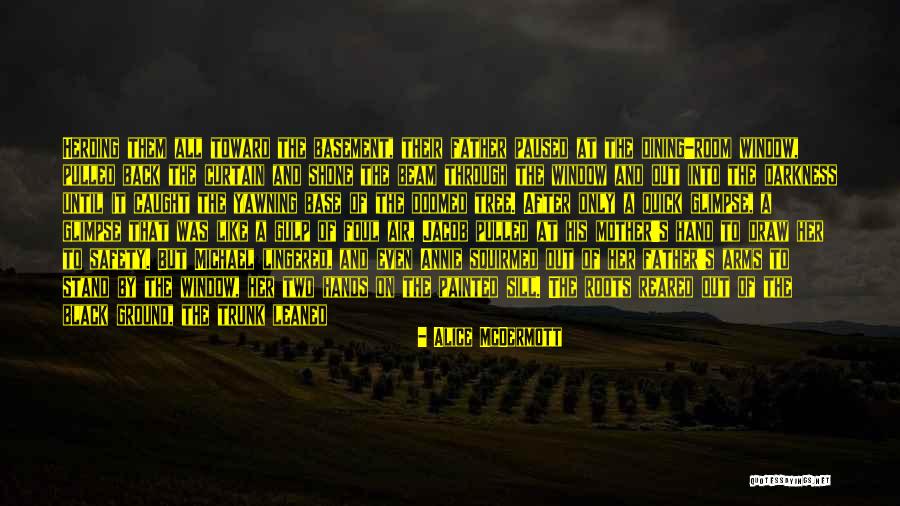 Long Arms Quotes By Alice McDermott Long Arms Quotes By Alice McDermott