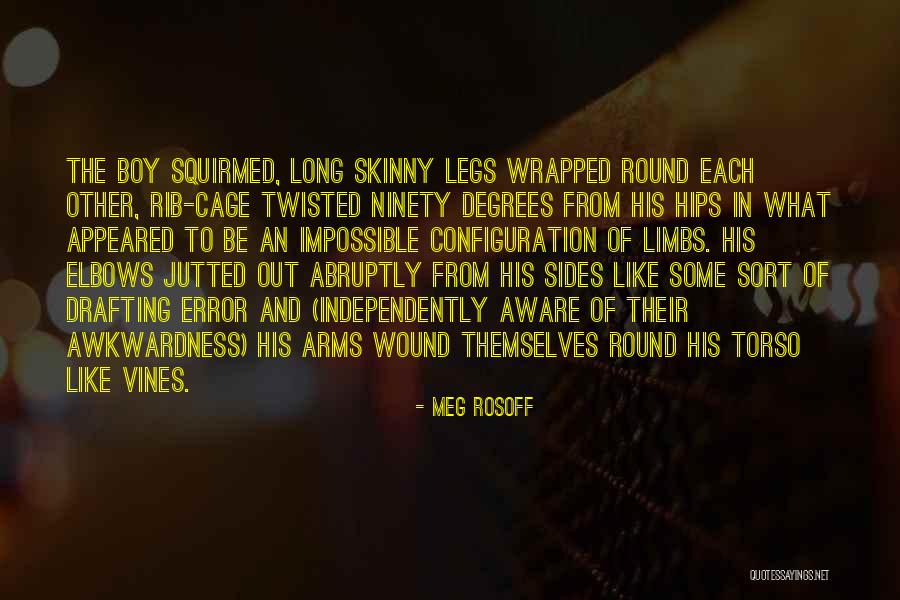 Long Arms Quotes By Meg Rosoff Long Arms Quotes By Meg Rosoff