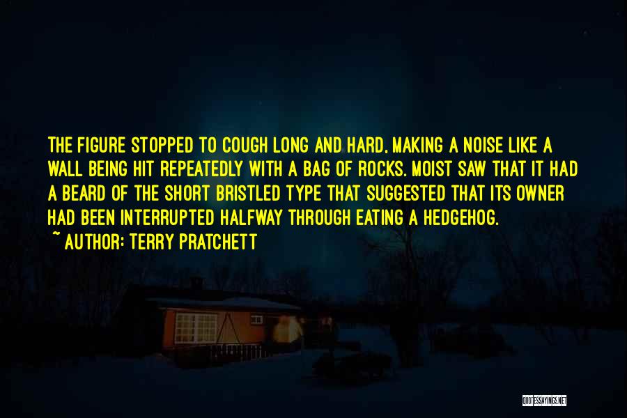 Long Beard Quotes By Terry Pratchett