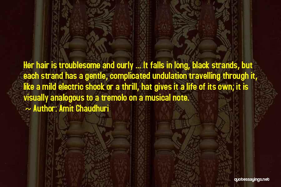 Long Black Hair Quotes By Amit Chaudhuri