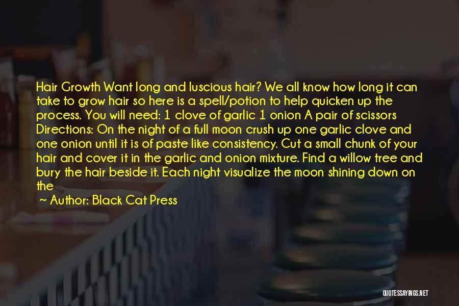 Long Black Hair Quotes By Black Cat Press