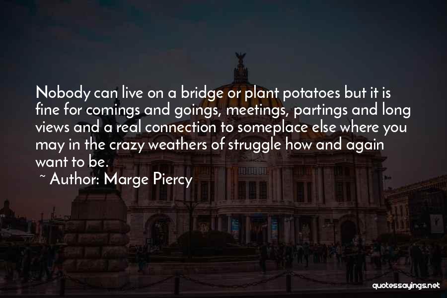 Long Bridge Quotes By Marge Piercy