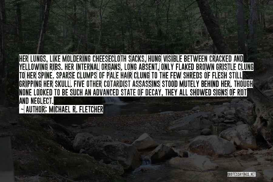 Long Brown Hair Quotes By Michael R. Fletcher