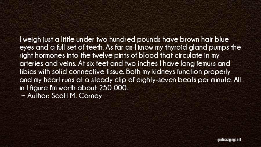 Long Brown Hair Quotes By Scott M. Carney Long Brown Hair Quotes By Scott M. Carney