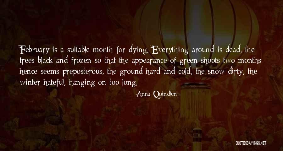 Long Cold Winter Quotes By Anna Quindlen Long Cold Winter Quotes By Anna Quindlen