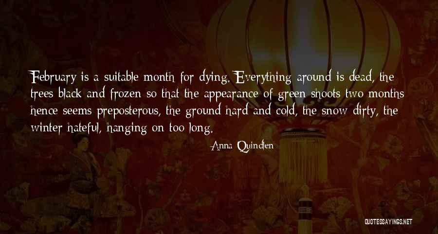 Long Cold Winter Quotes By Anna Quindlen