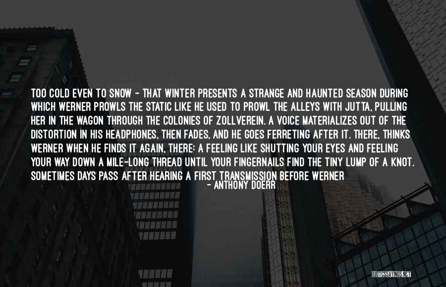 Long Cold Winter Quotes By Anthony Doerr