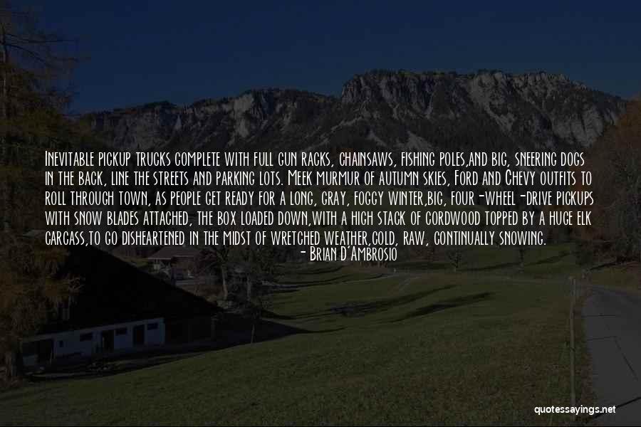 Long Cold Winter Quotes By Brian D'Ambrosio Long Cold Winter Quotes By Brian D'Ambrosio