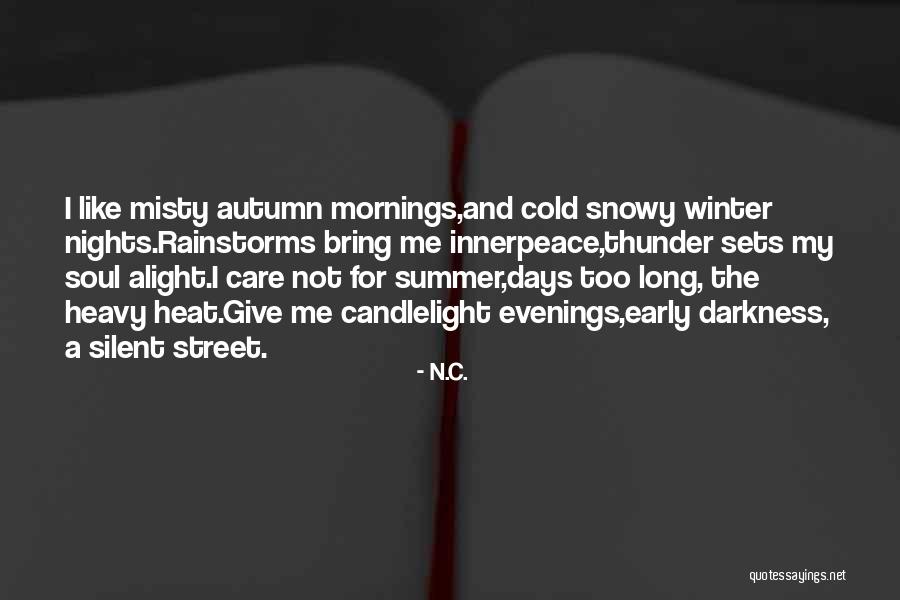 Long Cold Winter Quotes By N.C.