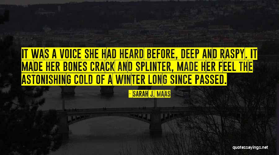 Long Cold Winter Quotes By Sarah J. Maas