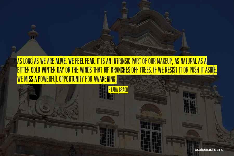Long Cold Winter Quotes By Tara Brach Long Cold Winter Quotes By Tara Brach