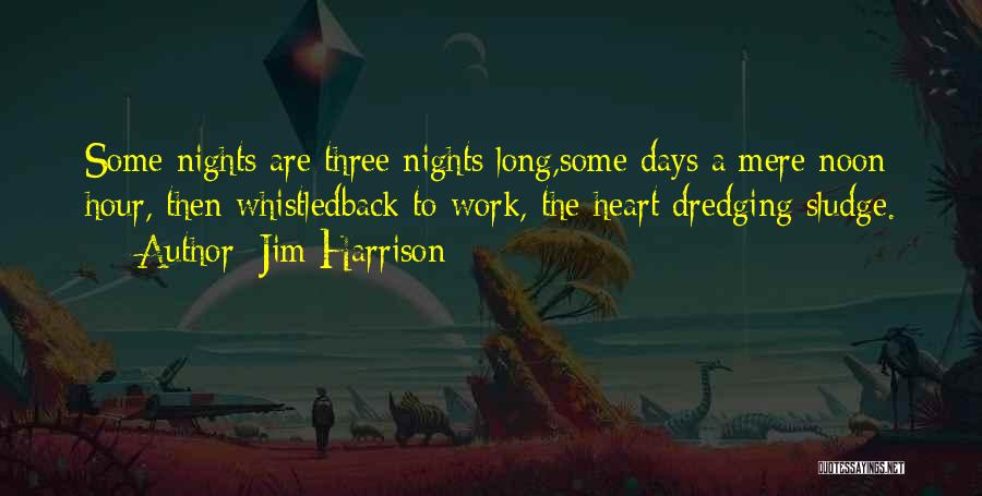 Long Days At Work Quotes By Jim Harrison