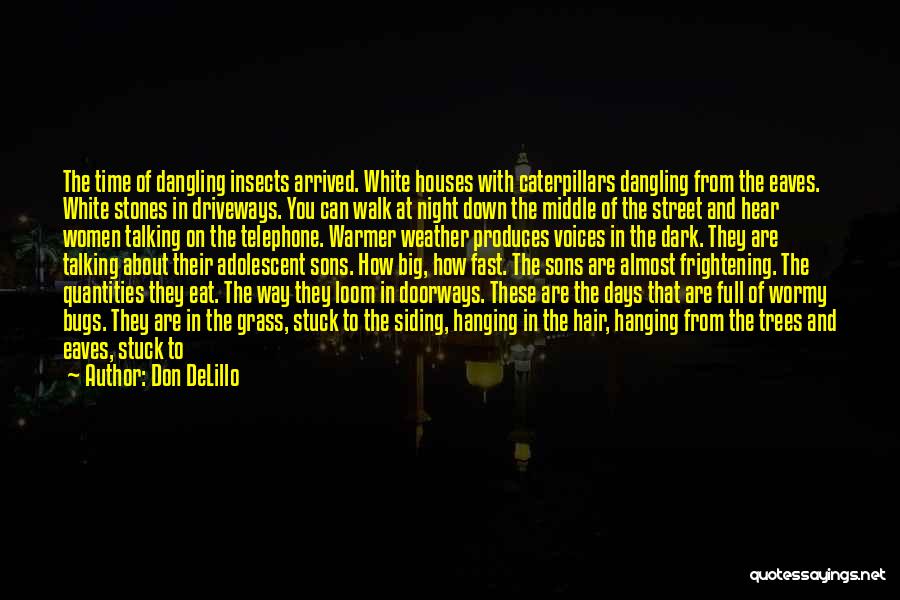 Long Distance And Time Quotes By Don DeLillo