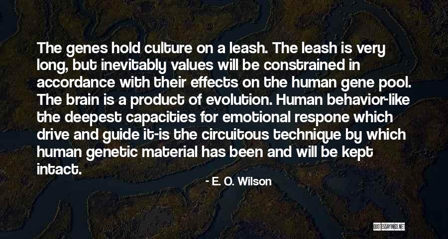 Long Drive Quotes By E. O. Wilson