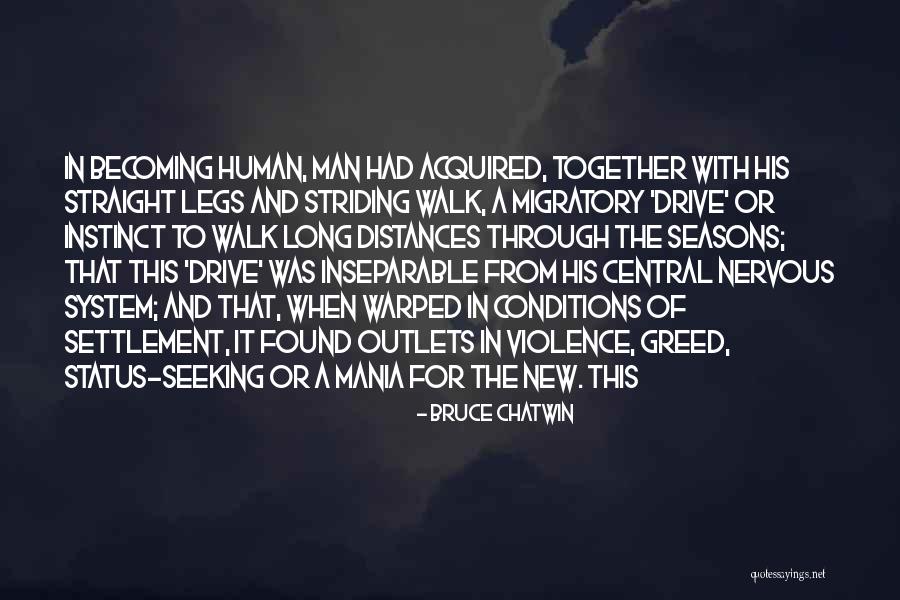 Long Drive With Him Quotes By Bruce Chatwin Long Drive With Him Quotes By Bruce Chatwin