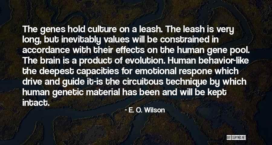 Long Drive With Him Quotes By E. O. Wilson Long Drive With Him Quotes By E. O. Wilson
