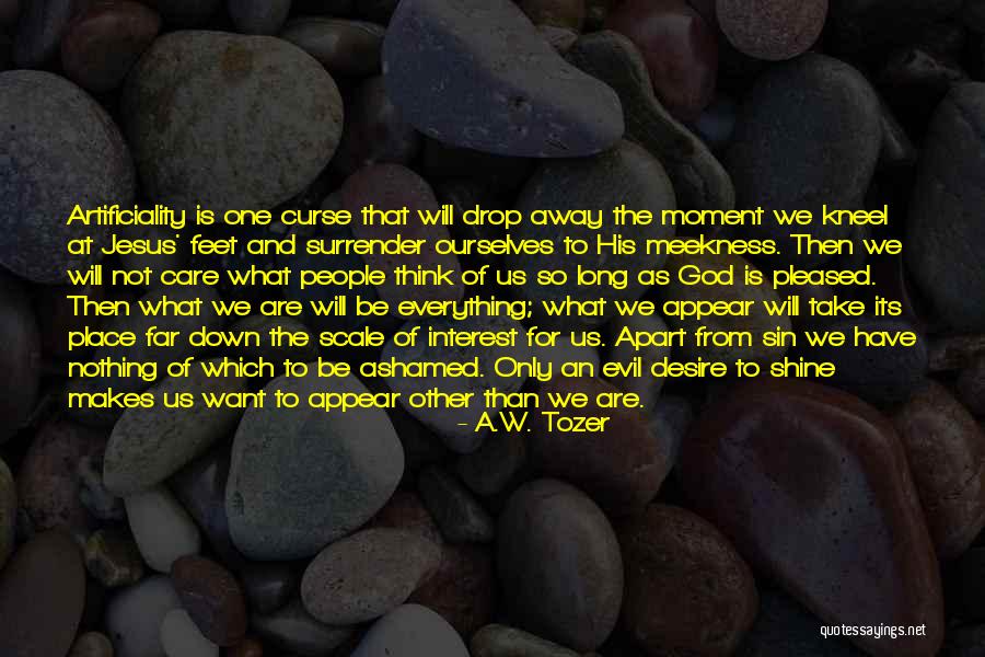 Long Drop Quotes By A.W. Tozer Long Drop Quotes By A.W. Tozer