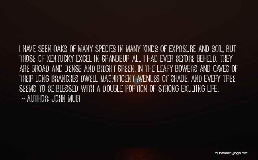 Long Exposure Quotes By John Muir