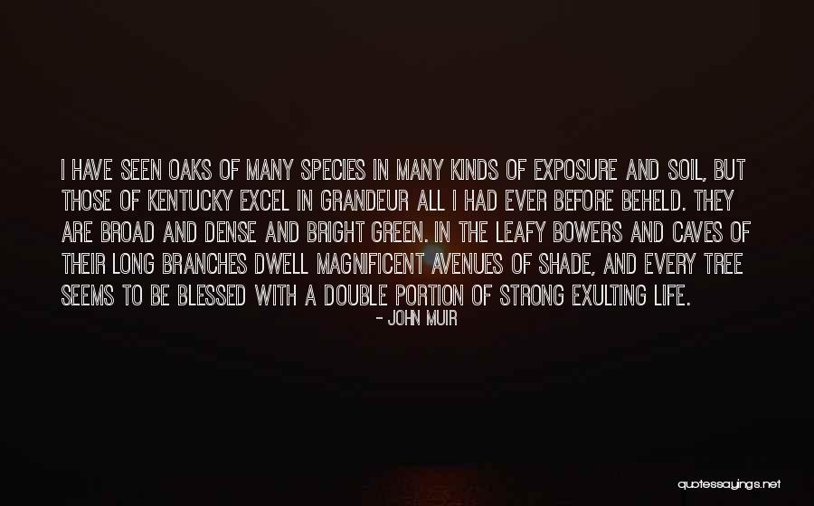 Long Exposure Quotes By John Muir