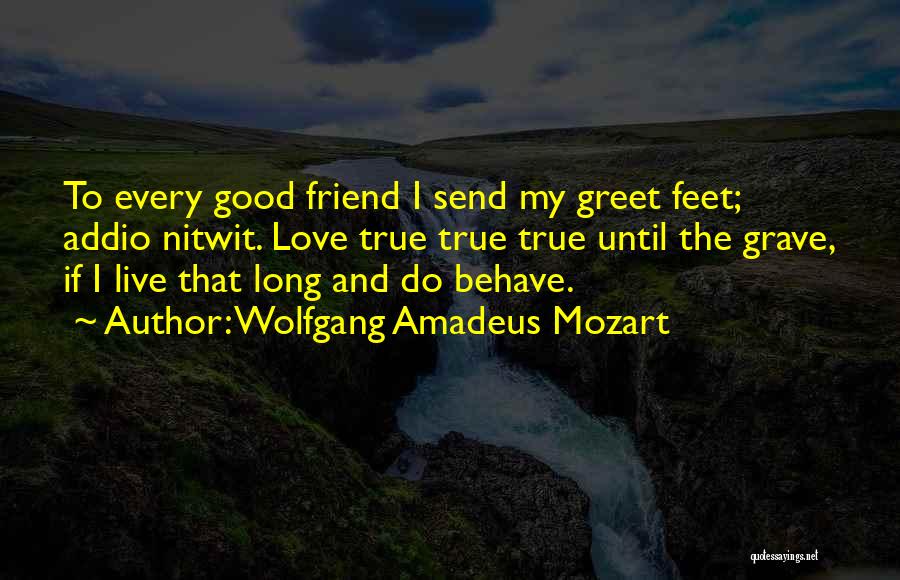 Long Good Friend Quotes By Wolfgang Amadeus Mozart
