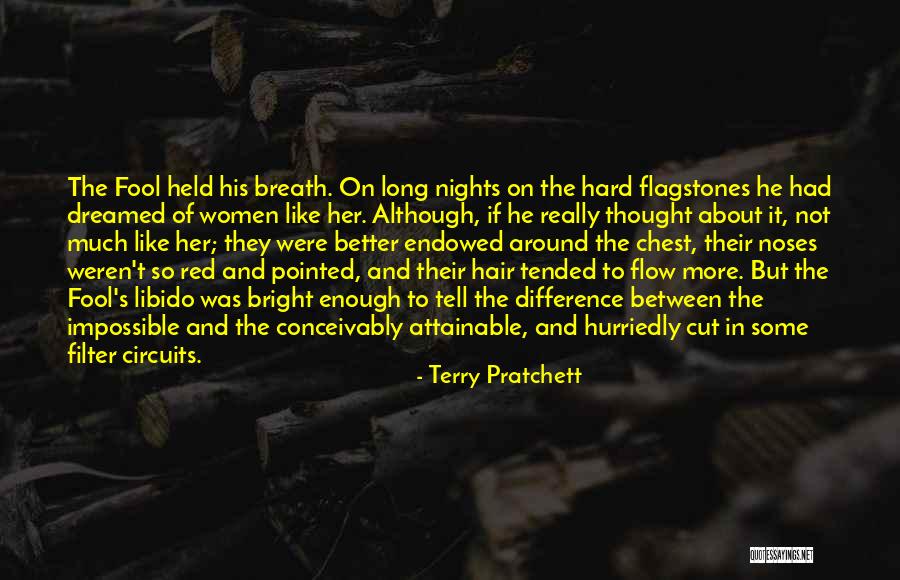 Long Hair Love Quotes By Terry Pratchett