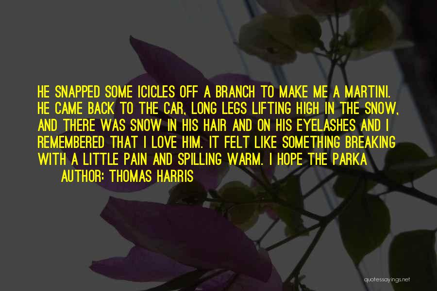 Long Hair Love Quotes By Thomas Harris