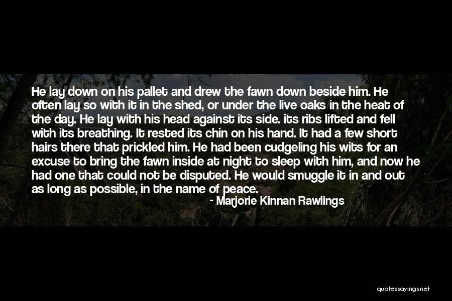 Long Hairs Quotes By Marjorie Kinnan Rawlings Long Hairs Quotes By Marjorie Kinnan Rawlings