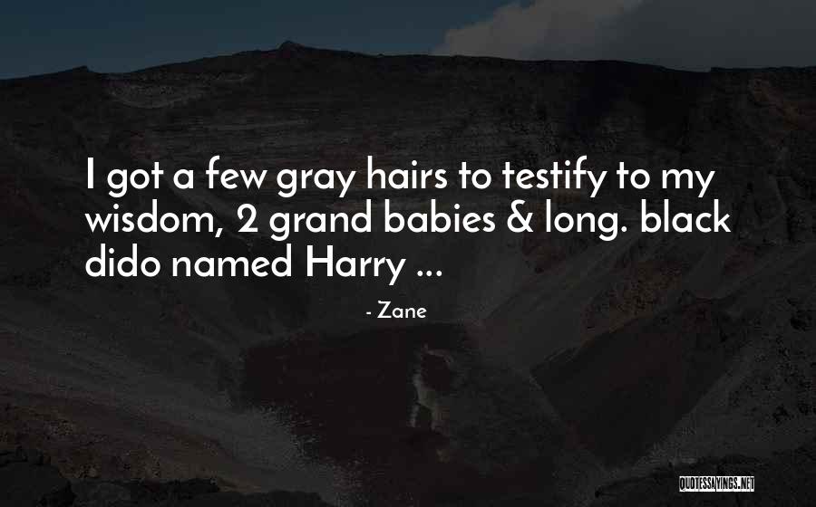 Long Hairs Quotes By Zane Long Hairs Quotes By Zane