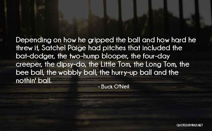 Long Hard Day Quotes By Buck O'Neil