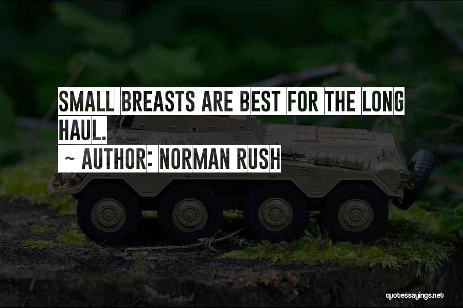 Long Haul Quotes By Norman Rush