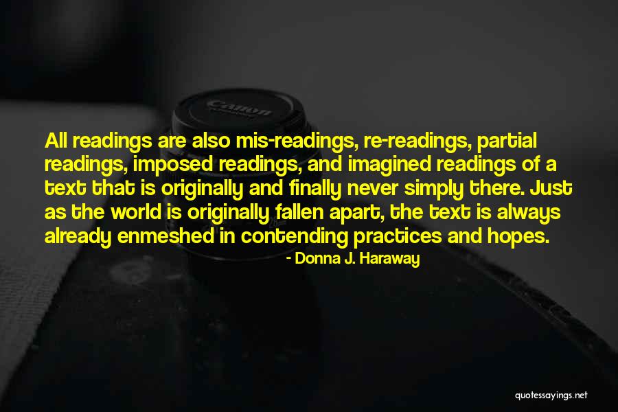 Long Haul Relationship Quotes By Donna J. Haraway