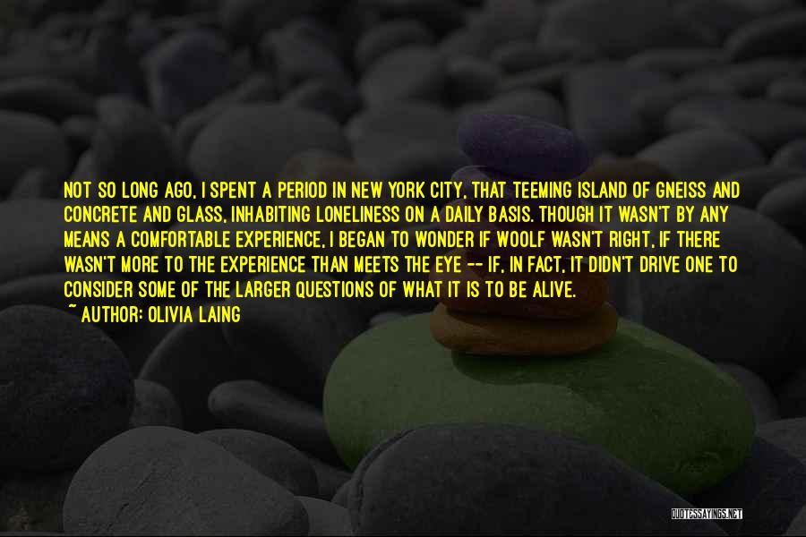 Long Island New York Quotes By Olivia Laing