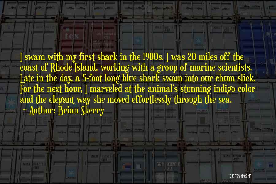 Long Island Quotes By Brian Skerry