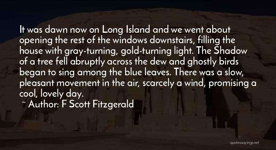 Long Island Quotes By F Scott Fitzgerald