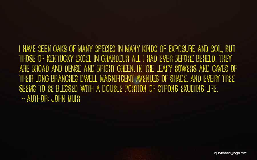 Long John Green Quotes By John Muir