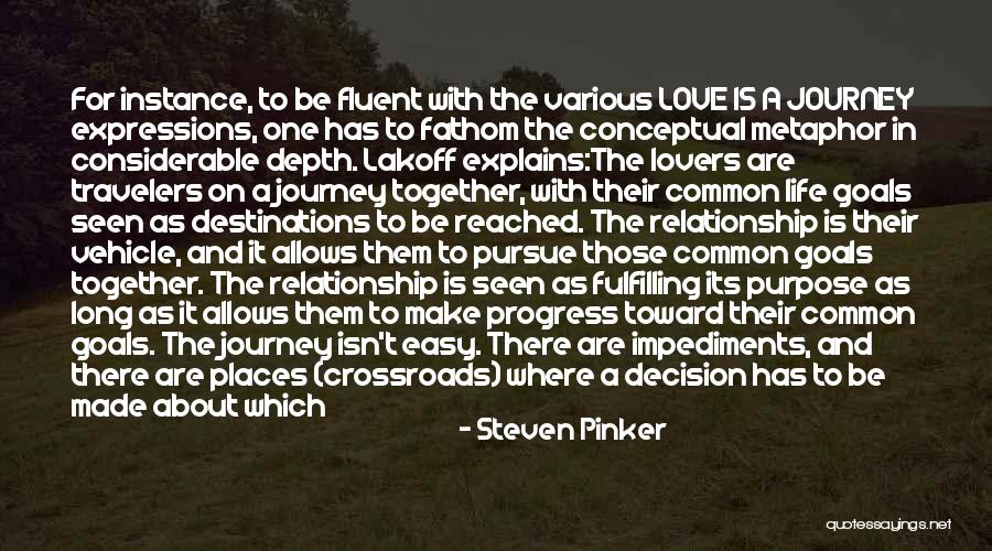 Long Journey Love Quotes By Steven Pinker