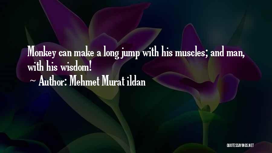 Long Jump Quotes By Mehmet Murat Ildan