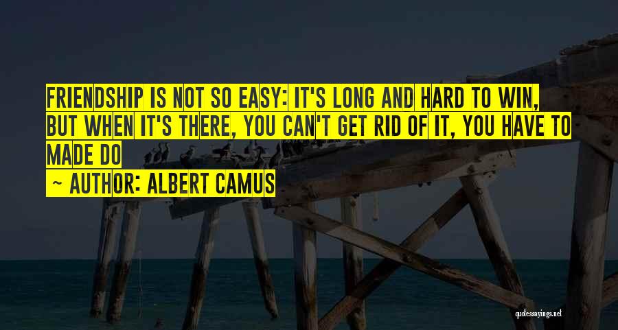 Long Long Friendship Quotes By Albert Camus