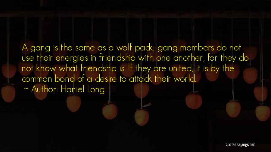 Long Long Friendship Quotes By Haniel Long