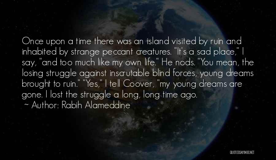 Long Long Time Ago Quotes By Rabih Alameddine