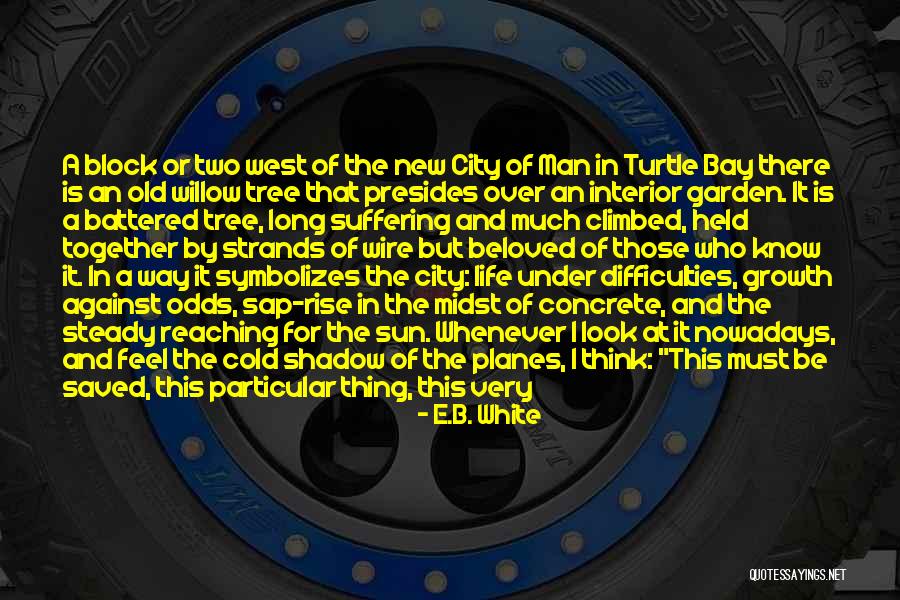 Long Odds Quotes By E.B. White Long Odds Quotes By E.B. White