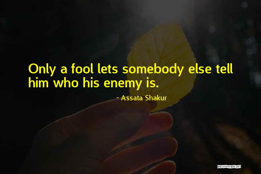 Long Paws Bear Quotes By Assata Shakur Long Paws Bear Quotes By Assata Shakur
